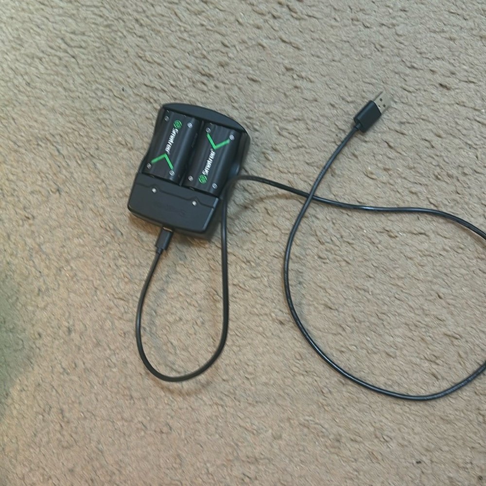 Dual channel charger